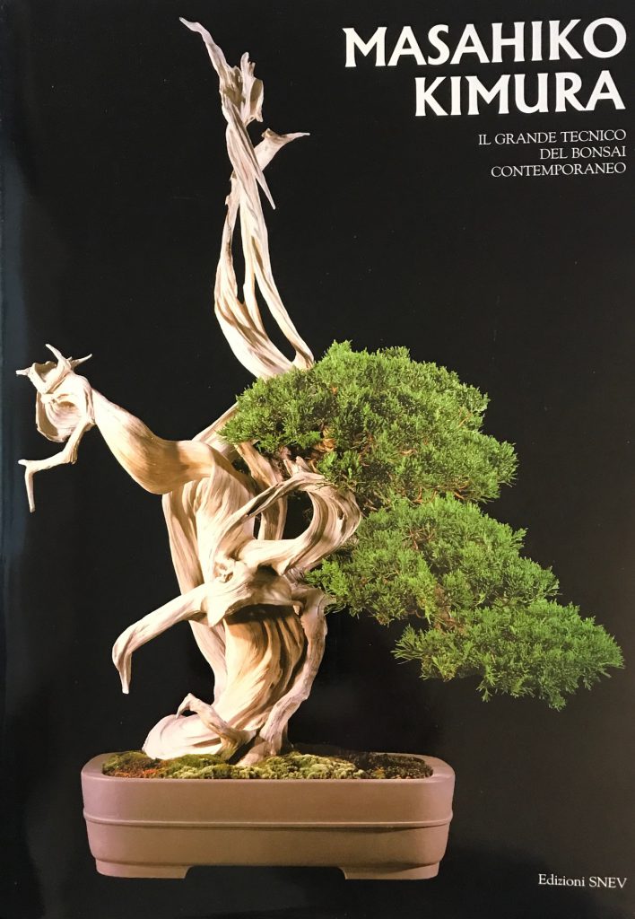 kimura bonsai